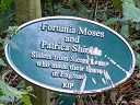 Fortunia Moses & Patrica Shields (id=9010)